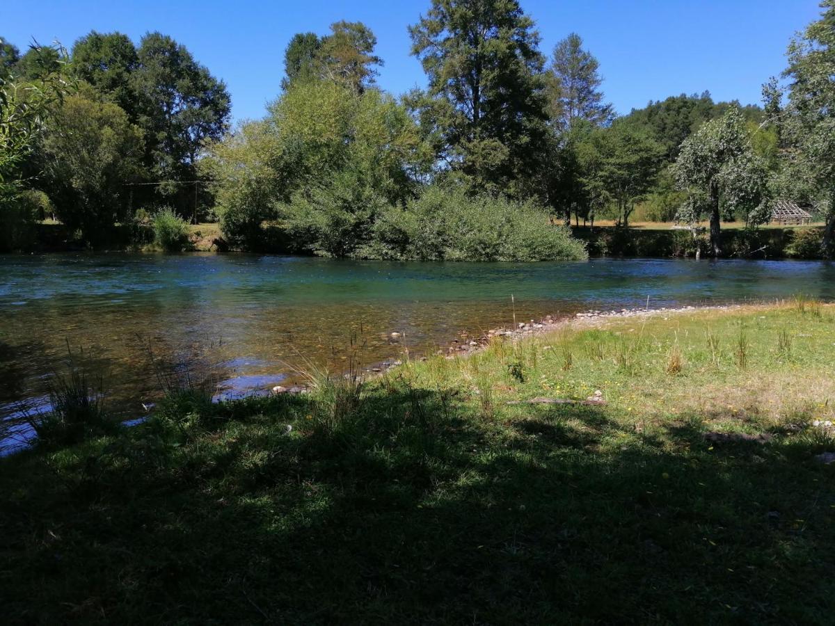 Cabanas Los Canelos Hermosa Granja En Pucón Kültér fotó