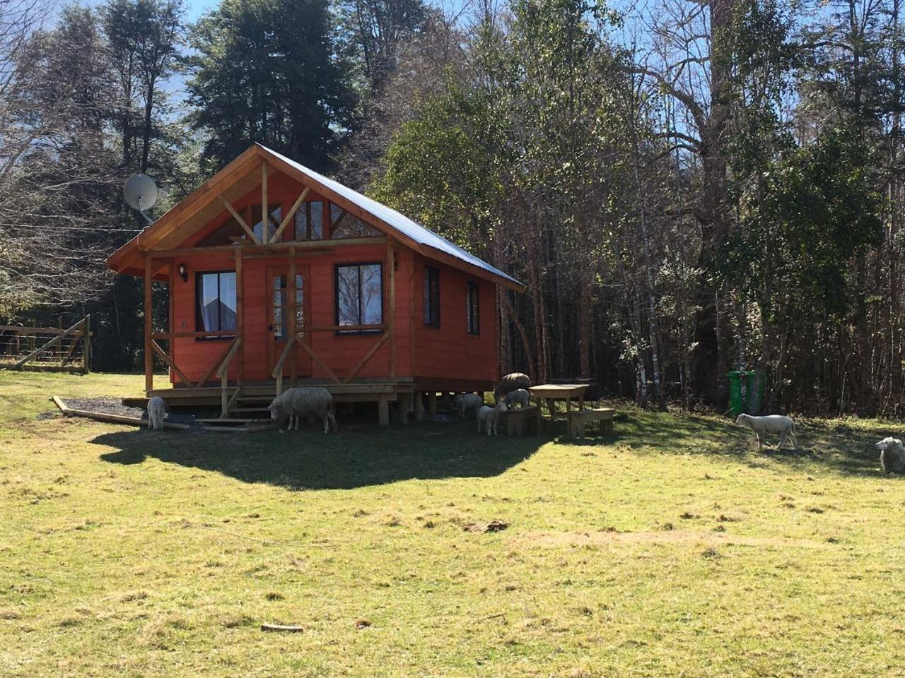 Cabanas Los Canelos Hermosa Granja En Pucón Kültér fotó